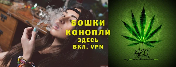 гидропоника Карпинск