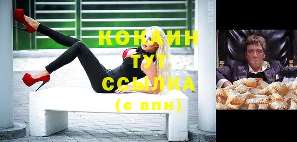 меф Арсеньев